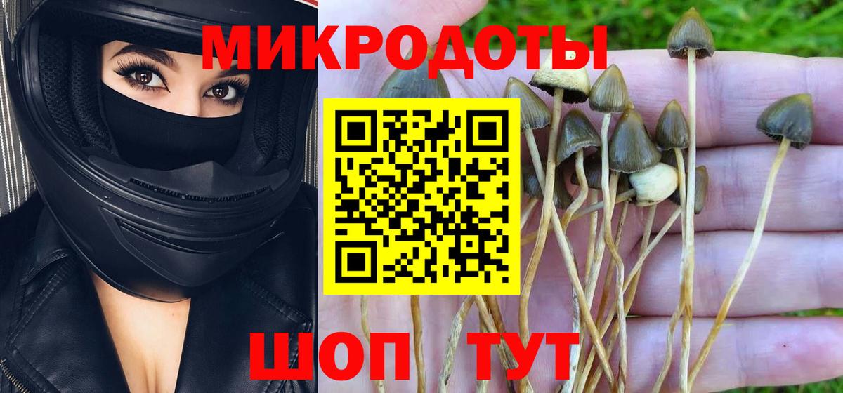 Галлюциногенные грибы GOLDEN TEACHER Топки