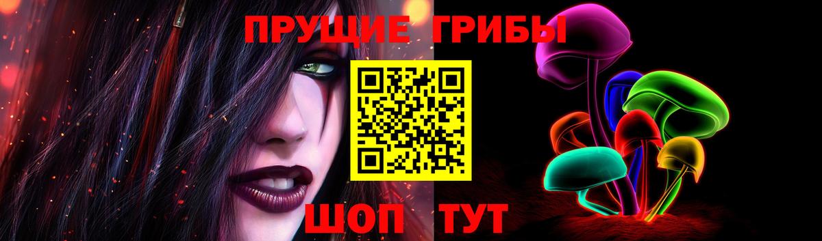 где продают   Вход с VPN  Топки  Галлюциногенные грибы ЛСД  Галлюциногенные грибы Psilocybine cubensis 